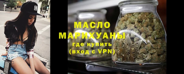 молекула духа Богородицк