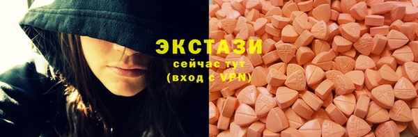 молекула духа Богородицк