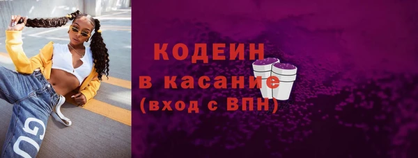 прущие грибы Богданович