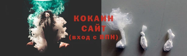 прущие грибы Богданович