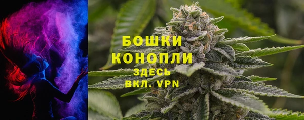 молекула духа Богородицк