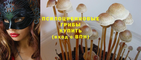 прущие грибы Богданович