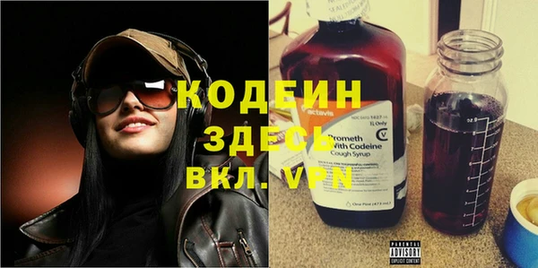 молекула духа Богородицк
