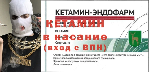 прущие грибы Богданович