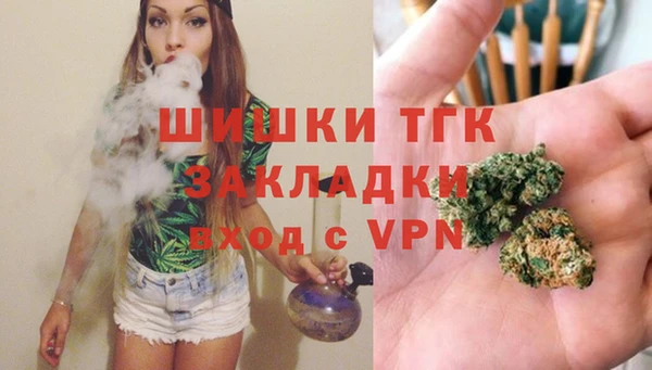 прущие грибы Богданович