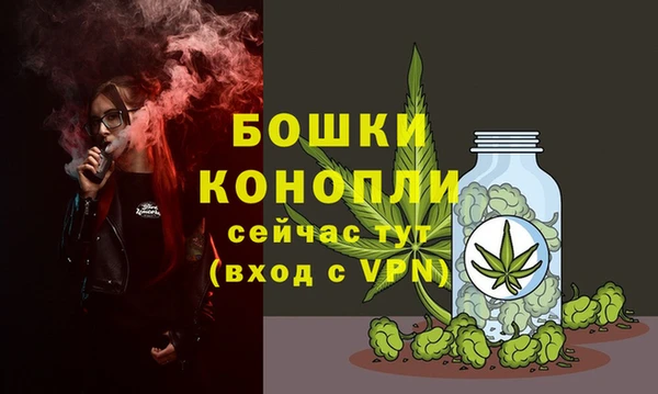 молекула духа Богородицк